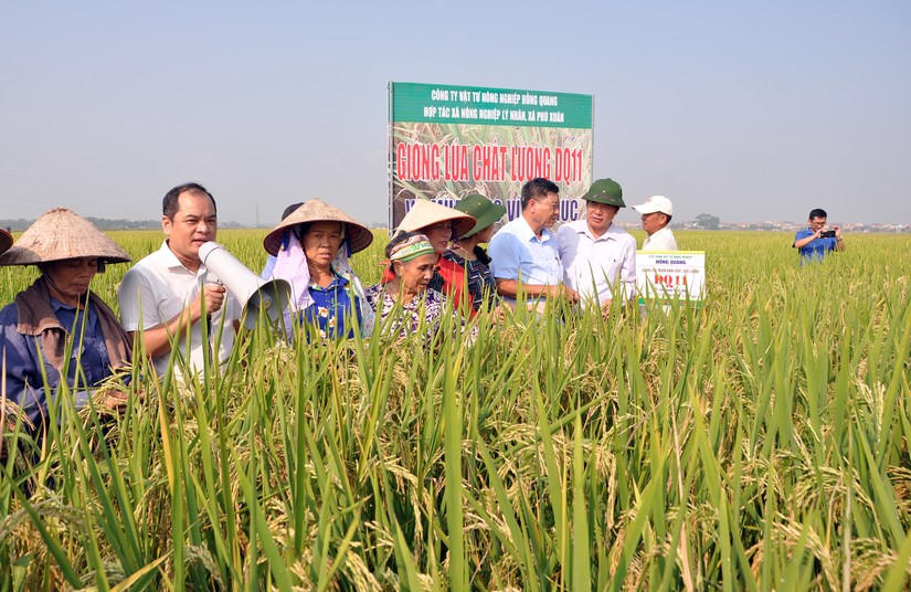 Đến năm 2025, phấn đấu c&oacute; tr&ecirc;n 3.000 hợp t&aacute;c x&atilde; n&ocirc;ng nghiệp ứng dụng c&ocirc;ng nghệ cao. Ảnh minh họa.