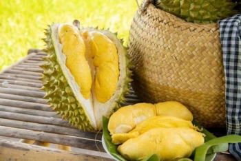 Xuất khẩu rau quả 7 tháng đầu năm 2023 vượt cả năm 2022