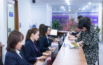 Chứng khoán Trí Việt báo lợi nhuận tăng gấp 4 lần, vẫn 'gồng lỗ' HPG