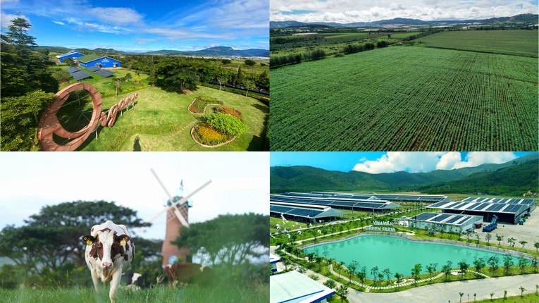 Nhiều giải ph&aacute;p gi&uacute;p giảm ph&aacute;t thải kh&iacute; nh&agrave; k&iacute;nh được Vinamilk ứng dụng tại c&aacute;c trang trại.