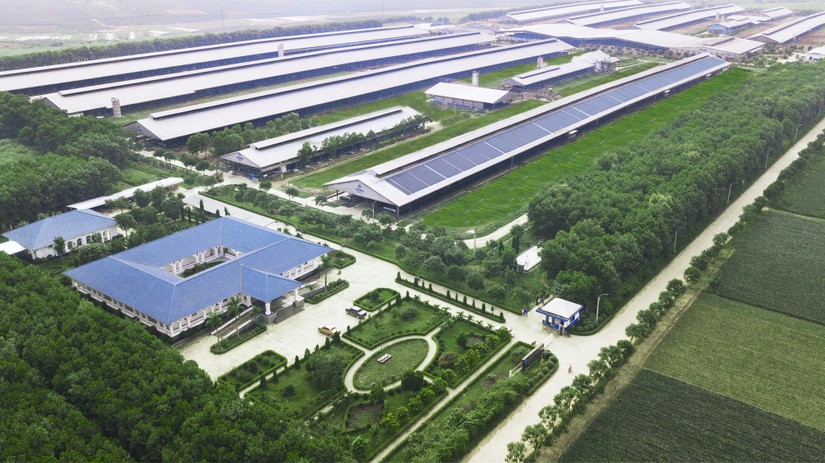 Để c&oacute; c&aacute;c m&ocirc; h&igrave;nh &amp;amp;quot;Trang trại sinh th&aacute;i&amp;amp;quot;, &amp;amp;quot;Trung h&ograve;a carbon&amp;amp;quot;, Vinamilk đ&atilde; chuẩn bị như thế n&agrave;o?