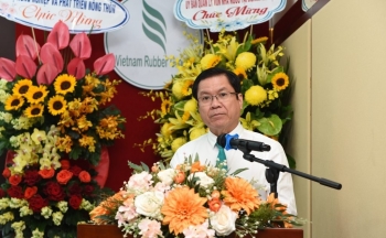 Lợi nhuận quý 2 của GVR giảm 40%, tổng tài sản còn hơn 76.600 tỷ đồng