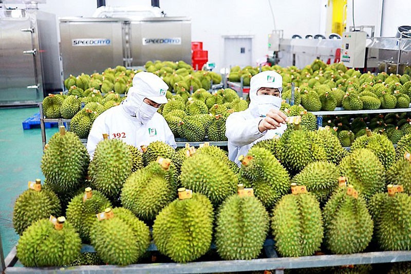 N&ocirc;ng sản Việt sẽ được trưng b&agrave;y tại Trung Quốc. Ảnh minh họa: VGP