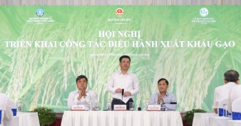 Giá thóc gạo trong nước đang tăng nhanh từng ngày