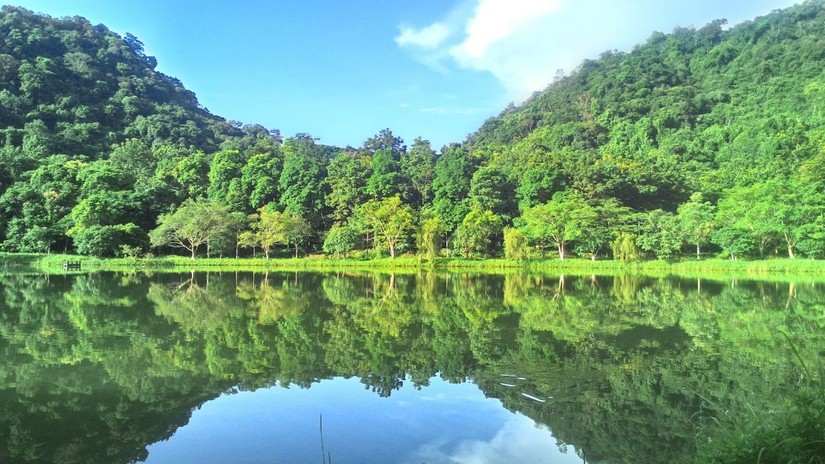 Vườn quốc gia C&uacute;c Phương. Ảnh: Sở Du lịch Ninh B&igrave;nh