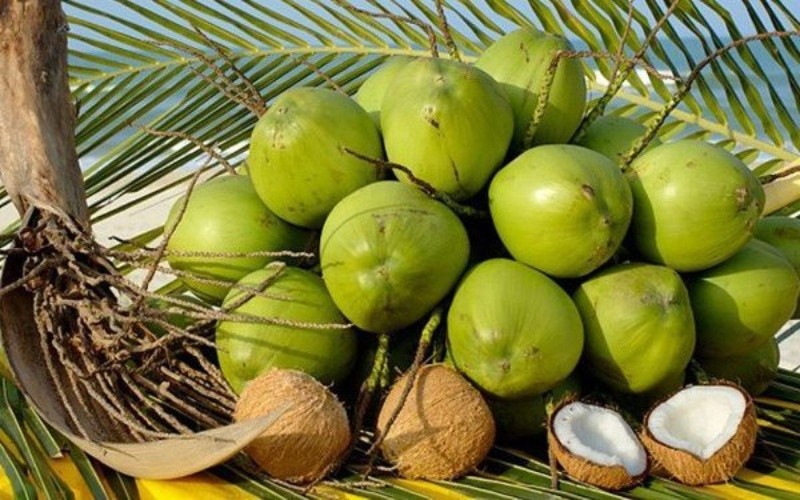 Mỹ ph&ecirc; duyệt nhập khẩu dừa non Việt Nam. Ảnh minh họa.