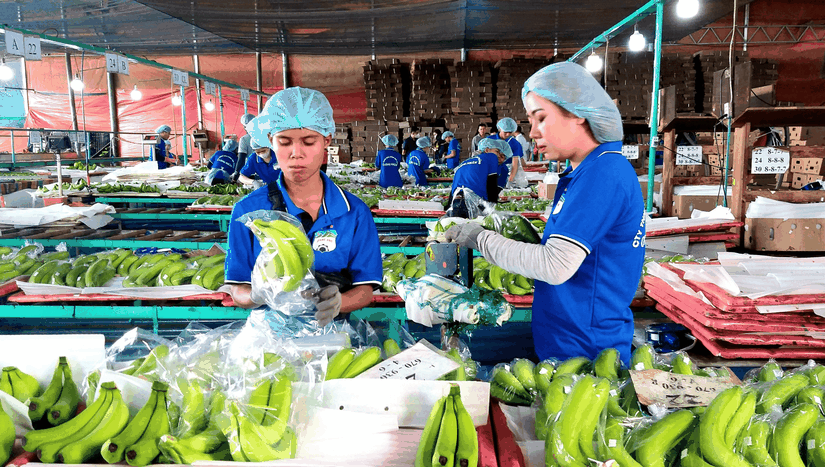 HAGL bảo l&atilde;nh nghĩa vụ t&iacute;n dụng của c&ocirc;ng ty con tại Sacombank