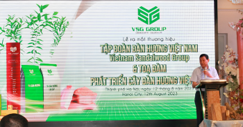 Ra mắt tập đoàn chuyên kinh doanh về cây đàn hương tại Việt Nam