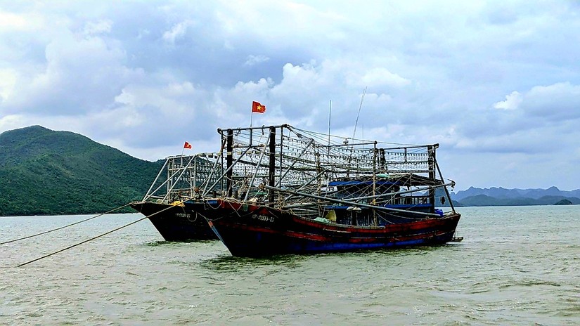 Ảnh minh họa t&agrave;u đ&aacute;nh c&aacute;. Ảnh: 555win Login