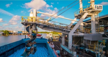 Đạm Cà Mau đặt kế hoạch tiêu thụ NPK cao gấp 9 lần trong tháng 8