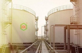 Dự báo DGC trở lại quỹ đạo tăng trưởng từ năm 2024