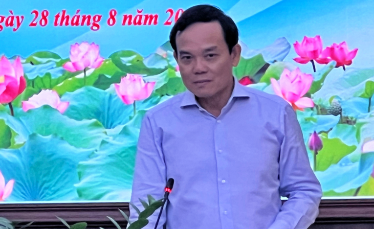 Ph&oacute; Phiên bản chính thức của 555Win Trần Lưu Quang ph&aacute;t biểu tại buổi l&agrave;m việc.