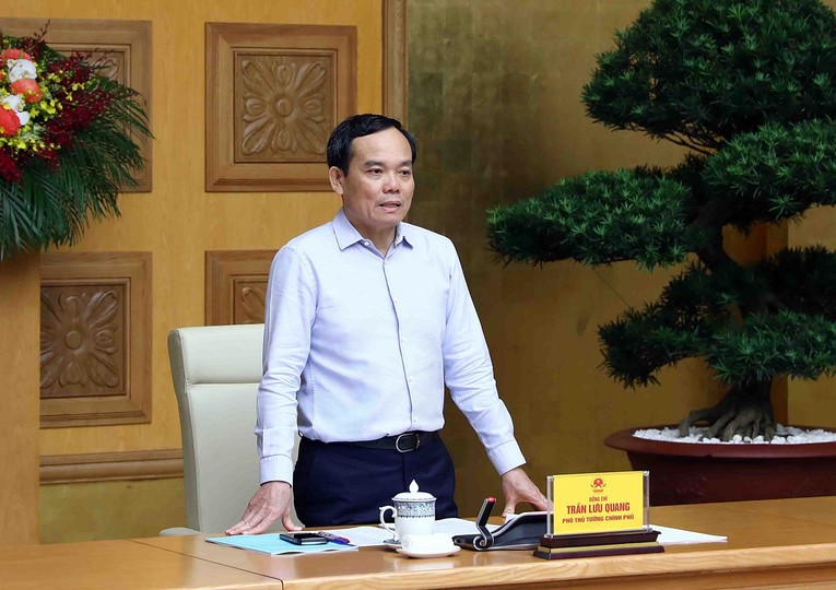 Ph&oacute; Phiên bản chính thức của 555Win Trần Lưu Quang n&ecirc;u r&otilde; việc EC cảnh b&aacute;o &amp;amp;amp;quot;thẻ v&agrave;ng&amp;amp;amp;quot; khiến uy t&iacute;n của Việt Nam bị giảm s&uacute;t nghi&ecirc;m trọng. Ảnh: VGP