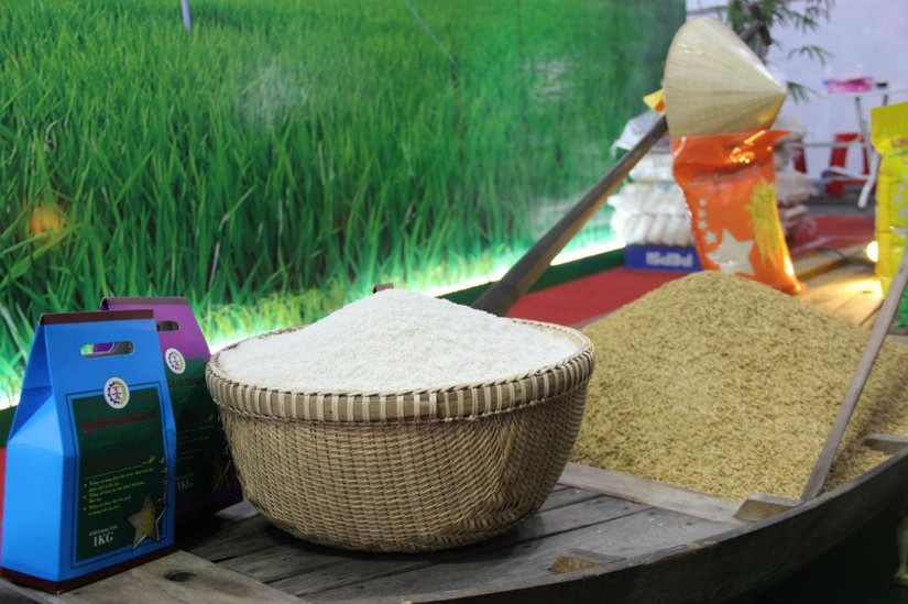 Gạo thơm Việt Nam chinh phục thị trường kh&oacute; t&iacute;nh EU. Ảnh minh họa