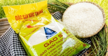Sau khi vào thực đơn nội các Nhật, gạo ST25 sẽ được phân phối tại Anh