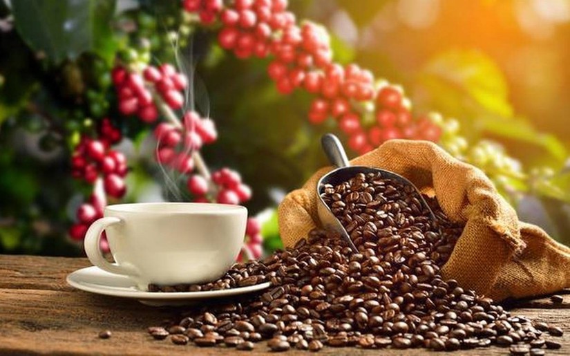 Xuất khẩu c&agrave; ph&ecirc; Việt Nam tăng trưởng tốt do khan hiếm nguồn cung
