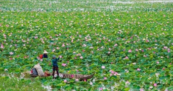 Du lịch nông thôn khó phát triển bền vững nếu không được quản lý tốt