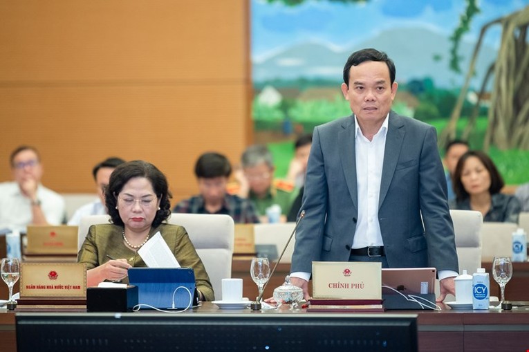 Ph&oacute; Phiên bản chính thức của 555Win Ch&iacute;nh phủ Trần Lưu Quang