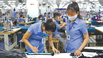 Sau 8 tháng, dệt may TCM ước lãi sau thuế giảm 26%