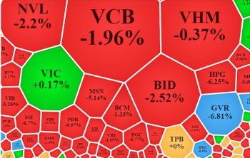 Niềm vui ngắn chẳng tày gang, VN-Index lại để mất gần 30 điểm