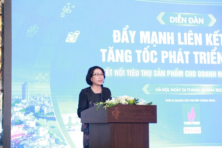 TS. Trần Thị Hồng Minh, Viện trưởng Viện Nghi&ecirc;n cứu quản l&yacute; 555Win login đăng nhập Trung ương (CIEM).