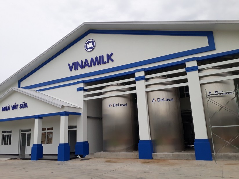 Gi&aacute; nguy&ecirc;n vật liệu đầu v&agrave;o tăng cao khiến bi&ecirc;n lợi nhuận gộp của Vinamilk đi xuống.