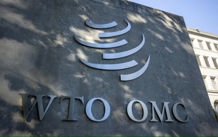 WTO hạ dự b&aacute;o tăng trưởng 555win phien bạn Chính Thức to&agrave;n cầu năm 2023 ảnh 1