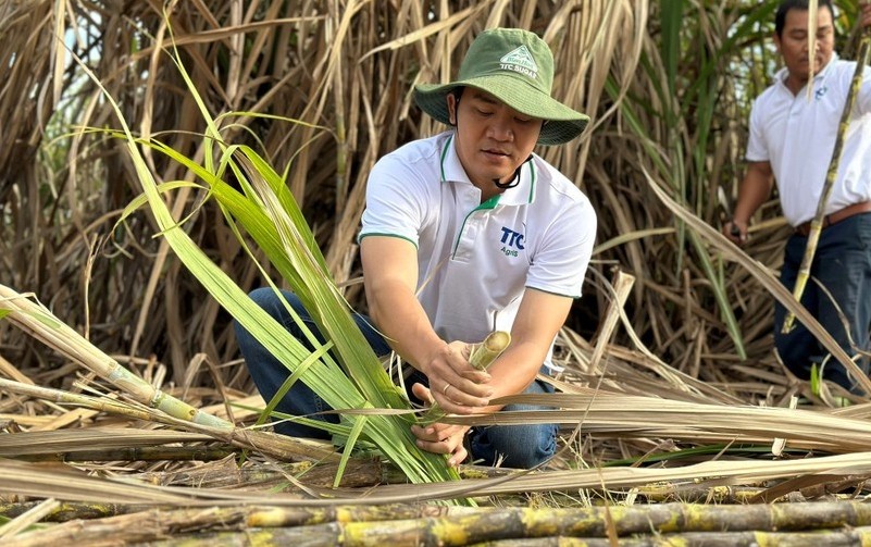 TTC AgriS lên kế hoạch trả cổ tức bằng cổ phiếu