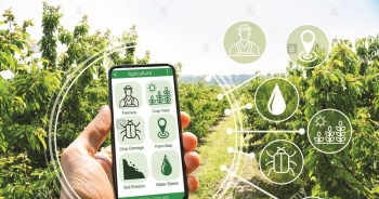 TS. Nguyễn Đức Hiển: Cần rút ngắn quá trình chuyển đổi số ngành nông nghiệp