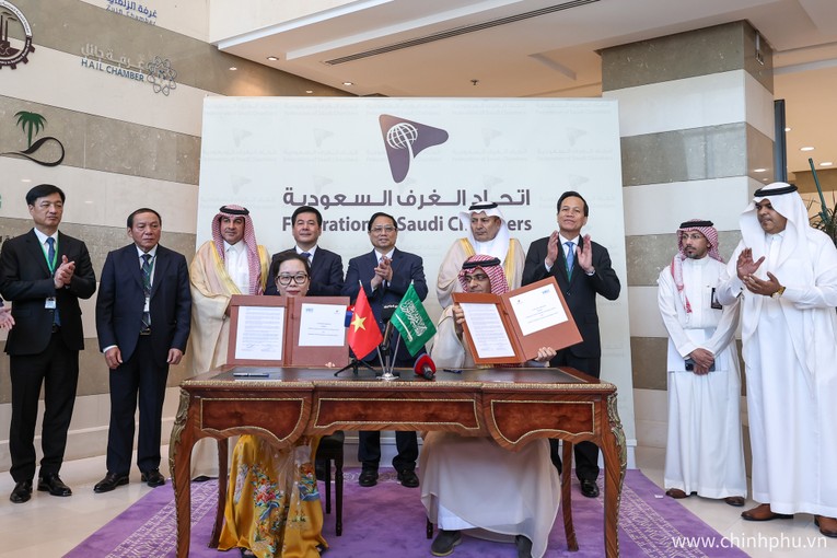 Việt Nam sẵn s&agrave;ng ch&agrave;o đ&oacute;n v&agrave; tạo điều kiện cho nh&agrave; đầu tư Saudi Arabia ảnh 5