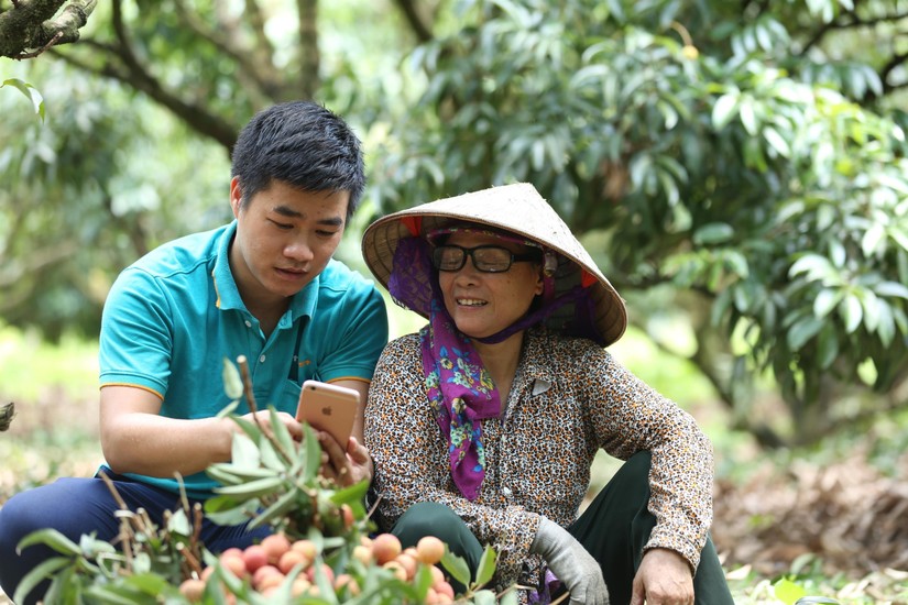 Đưa hộ sản xuất n&ocirc;ng nghiệp l&ecirc;n s&agrave;n 555win phien bạn Chính Thức điện tử.