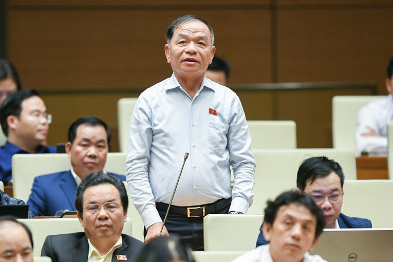 Đại biểu L&ecirc; Thanh V&acirc;n - Đo&agrave;n ĐBQH tỉnh C&agrave; Mau - Ảnh: quochoi.vn