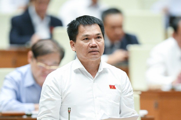 Đại biểu Dương Khắc Mai. Ảnh: Quochoi