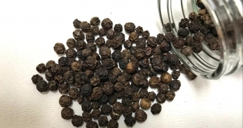 Mỹ là thị trường xuất khẩu hạt tiêu lớn nhất của Việt Nam