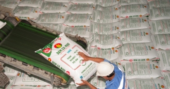 Cục thuế tỉnh Cà Mau xử phạt hành chính Đạm Cà Mau