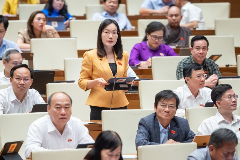 Đại biểu Đỗ Thị Việt H&agrave; - Đo&agrave;n Bắc Giang.