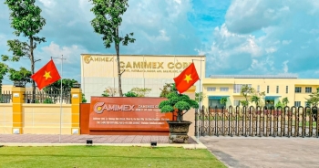 Thu về 204 tỷ đồng bán trái phiếu, tổng nợ của CMX tăng hơn 38%