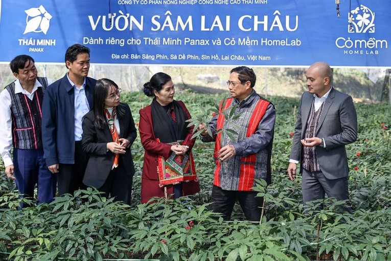 Phiên bản chính thức của 555Win Phạm Minh Ch&iacute;nh thăm vườn s&acirc;m Lai Ch&acirc;u tại x&atilde; S&agrave; Dề Ph&igrave;n. Ảnh: VGP