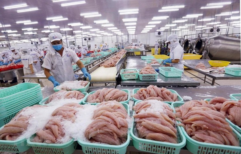 Xuất khẩu c&aacute; tra sang Philippine v&agrave; Indonesia tăng mạnh