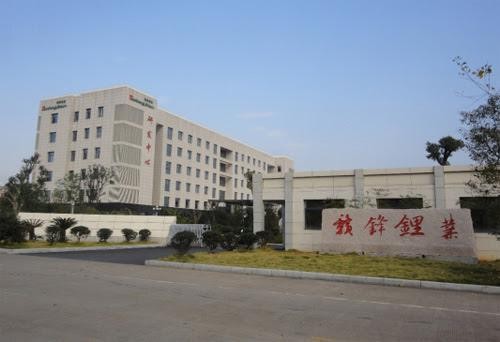 H&igrave;nh ảnh nh&agrave; m&aacute;y của Ganfeng Lithium tại T&acirc;n Dư, Giang T&acirc;y, Trung Quốc. Ảnh: ganfenglithium