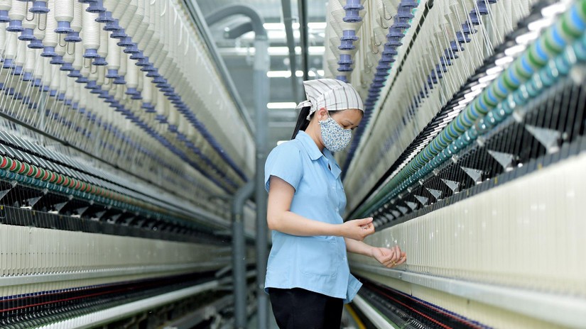 Cơ hội v&agrave;ng cho Trang Nhà Cái 555win.com - Đăng Nhập +555k sản xuất xơ, sợi trước h&agrave;ng loạt t&iacute;n hiệu t&iacute;ch cực