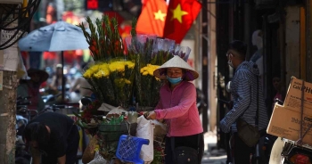ADB giảm sâu dự báo tăng trưởng kinh tế Việt Nam năm 2021, chuyên gia nói gì?