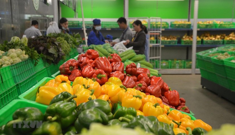 Rau quả Việt Nam xuất sang EU mới chỉ chiếm 0,5% thị phần