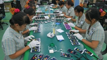 Nông sản Việt vẫn vắng bóng trong giỏ hàng nhập khẩu của Áo