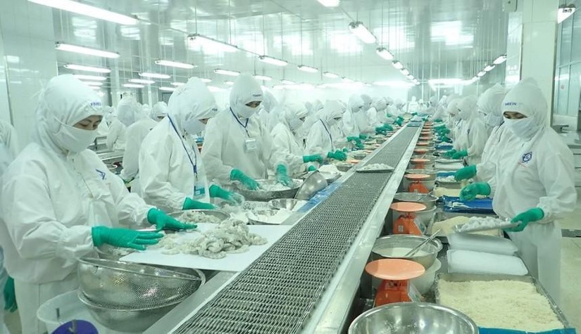 VASEP đề nghị bỏ quy định kiểm dịch để gỡ kh&oacute; cho Trang Nhà Cái 555win.com - Đăng Nhập +555k