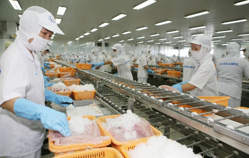 Do ảnh hưởng của dịch COVID-19, xuất khẩu thủy sản đ&atilde; &amp;amp;apos;t&ecirc; liệt&amp;amp;apos; trong gần 4 th&aacute;ng thực hiện gi&atilde;n c&aacute;ch x&atilde; hội để ph&ograve;ng dịch - Ảnh minh họa