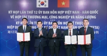 Hàn Quốc hỗ trợ Việt Nam áp dụng các nhà máy điện đồng đốt bằng amoniac