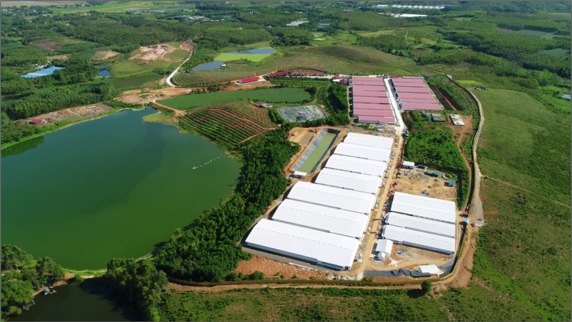 Trang trại của Dabaco tại Ph&uacute; Thọ.