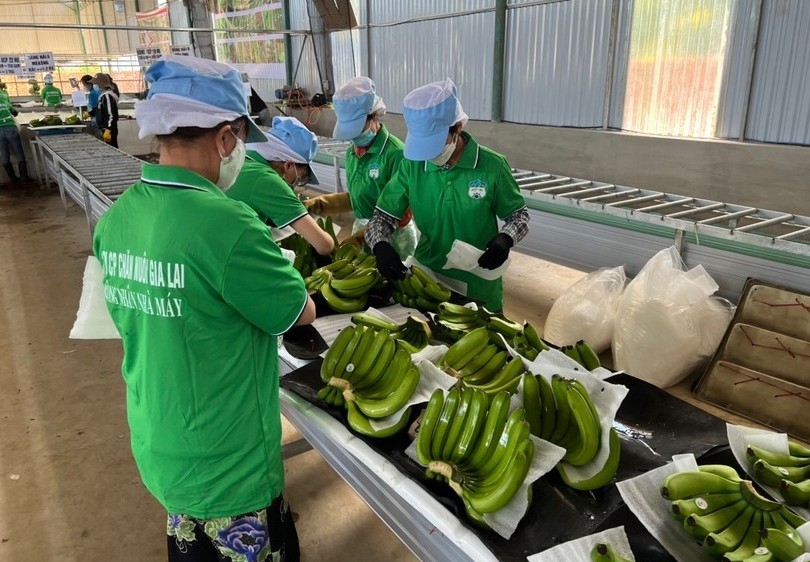 HAGL thoái vốn khỏi công ty liên kết cuối cùng