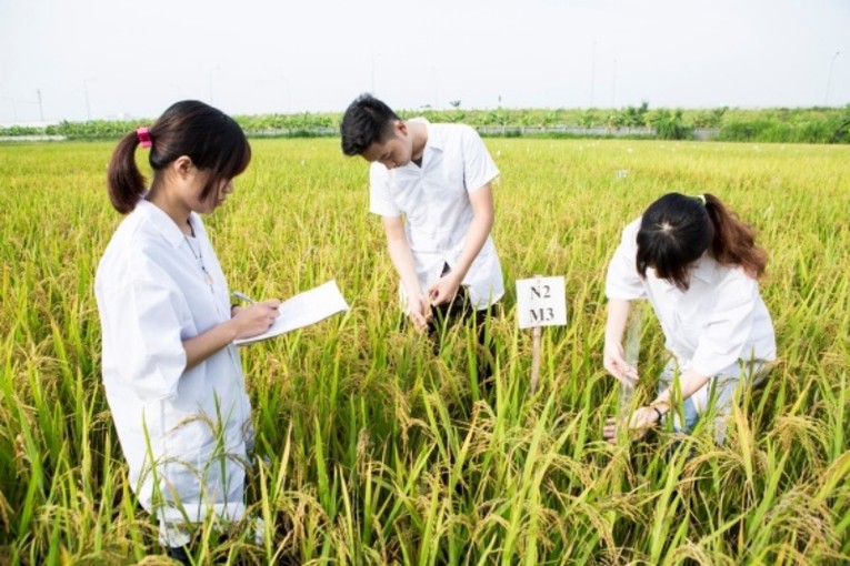 555win Mobi n&ocirc;ng nghiệp đ&oacute;ng vai tr&ograve; quan trọng trong ph&aacute;t triển n&ocirc;ng nghiệp, n&ocirc;ng th&ocirc;n.